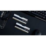 G.Skill 64 GB DDR5-6000 Kit werkgeheugen Zilver, F5-6000J3040G32GX2-TZ5RS, Trident Z5 RGB, XMP