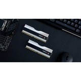 G.Skill 64 GB DDR5-6000 (2x 32 GB) Kit werkgeheugen Zilver, F5-6000J3040G32GX2-TZ5RS, Trident Z5 RGB, XMP