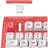 Iqunix OG80 Joy Vendor Wireless Mechanical Keyboard Grijs, US lay-out (QWERTY), Cherry MX Brown, 80% (TKL)	, RGB leds, Hot-swappable, PBT, 2.4GHz | Bluetooth 5.1 | USB-C