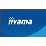 iiyama ProLite X2791QS-B1 27" monitor Zwart (mat), HDMI, DisplayPort, Audio