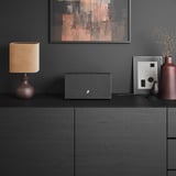 Audio Pro C10 MkII W luidspreker Zwart, Bluetooth 4.2, WiFi