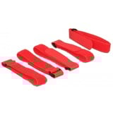 DeLOCK Kabelbinders met klittenband, 5 stuks Rood, L 300 mm x B 20 mm