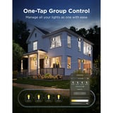 Govee Edison bulb E27 ledlamp 2.4GHz wifi, Bluetooth