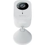 Synology CC400W AI-ondersteunde wifi camera Wit