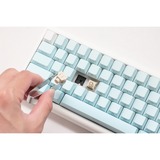 Ducky ProjectD Tinker 65 - POM Edition met QMK/VIA RGB mechanisch toetsenbord Lichtblauw, US lay-out (QWERTY), Kailh Box Cream Pro, 65%, RGB leds, Double-shot PBT, Hot-swappable POM, Gasket mount