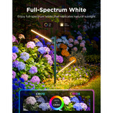 Govee Outdoor Garden Lights (2-pack) sfeerverlichting 2,4GHz-wifi + Bluetooth