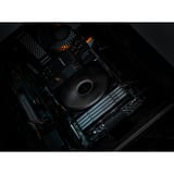 KLEVV 32 GB DDR5-6000 (2x 16 GB) Kit werkgeheugen Zwart, KD5AGUA80-60A300H, BOLT V, XMP 3.0, EXPO