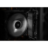 KLEVV 32 GB DDR5-6000 (2x 16 GB) Kit werkgeheugen Zwart, KD5AGUA80-60A300H, BOLT V, XMP 3.0, EXPO