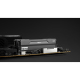 KLEVV 32 GB DDR5-6000 (2x 16 GB) Kit werkgeheugen Zwart, KD5AGUA80-60A300H, BOLT V, XMP 3.0, EXPO