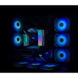 KLEVV CRAS V RGB ROG 32 GB DDR5-6200 (2x 16 GB) werkgeheugen Wit, KD5AGUA80-62B320P, XMP, EXPO