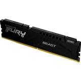 Kingston FURY Beast 32 GB DDR5-5600 (1x 32 GB) werkgeheugen Zwart, KF556C40BB2-32, XMP 3.0, EXPO 1.1