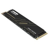 KLEVV CRAS C925G 2 TB SSD Zwart, K02TBM2SP0-25G, PCIe Gen 4.0 x4, NVMe 2.0