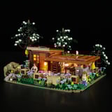 Lumibricks  Constructiespeelgoed 