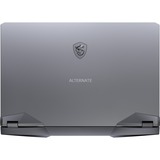 MSI GE76 Raider 11UH-061NL 17.3" gaming laptop Titanium | 360 Hz | 2 TB SSD | RTX 3080 | Wifi 6 | BT | Windows 10