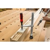 BESSEY Spanelement met een vast spandiepte TW28-30-12-2K lijmklem Zilver/rood