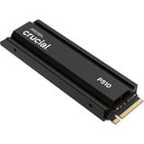 Crucial  2TB 10,0/8,7 P510 H        M.2 CRU SSD Zwart