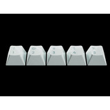 Keychron Q16 HE 8K Magnetic Switch Keyboard, toetsenbord Lichtgroen, US lay-out, Keychron Ultra-Fast Lime, 65%, RGB, Hot swap, 8K