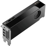 NVIDIA® RTX PRO 4000 SFF Blackwell grafische kaart GDDR7 ECC, 4x DisplayPort