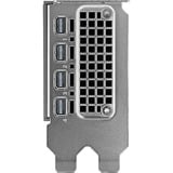 NVIDIA® RTX PRO 4000 SFF Blackwell grafische kaart GDDR7 ECC, 4x DisplayPort