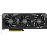 PNY GeForce RTX 5070 OC grafische kaart DLSS 4, 3x DisplayPort, 1x HDMI 2.1