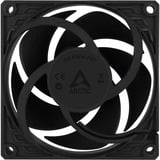 ARCTIC P8 PWM PST case fan Zwart, 80 x 80 x 25 mm