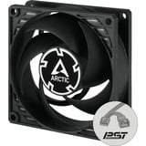 ARCTIC P8 PWM PST case fan Zwart, 80 x 80 x 25 mm