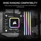 Corsair werkgeheugen Zwart, CMPLEKIT2