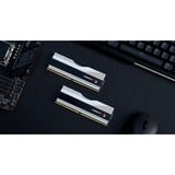 G.Skill 64 GB DDR5-6400 Kit werkgeheugen Zilver/zwart, F5-6400J3239G32GX2-TZ5RS, Trident Z5 RGB, XMP