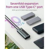 ICY BOX 7-Port USB 3.2 Gen 2 Type-C Hub usb-hub Blauwgrijs