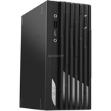 MSI PRO DP20Z 5M-004EU pc-systeem Zwart, 256GB SSD, LAN, WLAN, Windows 10 Pro