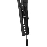 Neomounts by Newstar WL35-550BL14 tv wandsteun wandmontage  Zwart