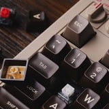 8BitDo Commodore 64 Bundel, gaming toetsenbord Beige/zwart, Britse lay-out, Kailh Box White V2