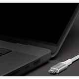 Belkin BoostCharge USB-C > USB-C kabel Wit, 1 meter, 240 W