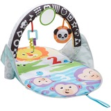 Fisher-Price 2-in-1 Activity Gym Speelbogen/ dekens