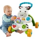 Fisher-Price Loop Met Mij Zebra Leerplezier 