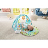 Fisher-Price Vlinderdromen Speelgym met Muziek Speelbogen/ dekens 