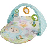 Fisher-Price Vlinderdromen Speelgym met Muziek Speelbogen/ dekens 