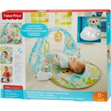 Fisher-Price Vlinderdromen Speelgym met Muziek Speelbogen/dekens 