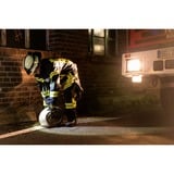 Ledlenser Hoofdlamp H14R.2 led verlichting 850 lm, 6000 - 8000K