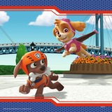 Ravensburger PAW Patrol - Helden met vacht puzzel 3 x 49 stukjes