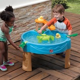 Step 2 Duck Pond Watertafel 