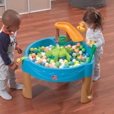 Step 2 Duck Pond Watertafel 