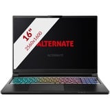 ALTERNATE Thunderstorm 16” - Ultra 7 - RTX 5070Ti  gaming laptop Zwart | Core Ultra 7 255HX | RTX 5070 Ti | 64 GB | 2 TB SSD