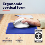 Trust Bayo II Ergonomische draadloze muis Wit, 800 dpi - 2400 dpi