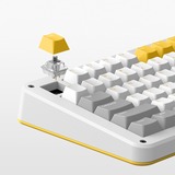 Iqunix ZX75 Gravity Wave Wireless Mechanical Keyboard Grijs, US lay-out (QWERTY), Cherry MX Blue, 75%, RGB leds, Hot-swappable, Double-shot PBT, 2.4GHz | Bluetooth 5.1 | USB-C