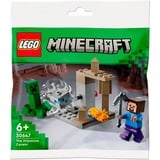 LEGO Minecraft - De Druipsteengrot Constructiespeelgoed 30647