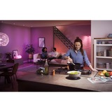 Philips Hue White and Color Ambiance 2-pack E27 ledlamp 2200K - 6500K, Dimbaar