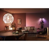 Philips Hue White and Color Ambiance 2-pack E27 ledlamp 2200K - 6500K, Dimbaar