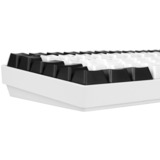 Sharkoon SKILLER SGK50 S3, gaming toetsenbord Wit, US lay-out, Gateron Yellow, RGB leds, Hot-swappable, 75%