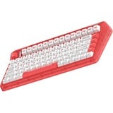 Iqunix OG80 Joy Vendor Wireless Mechanical Keyboard Rood, US lay-out (QWERTY), Cherry MX Silent Red, 80% (TKL)	, RGB leds, Hot-swappable, PBT, 2.4GHz | Bluetooth 5.1 | USB-C